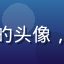 壁纸爱好者绿野仙踪er的头像，清新自然风格的用户头像